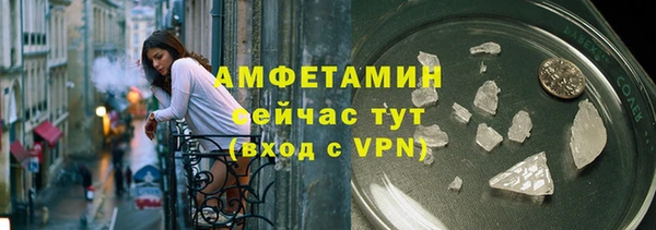 прущие грибы Ступино